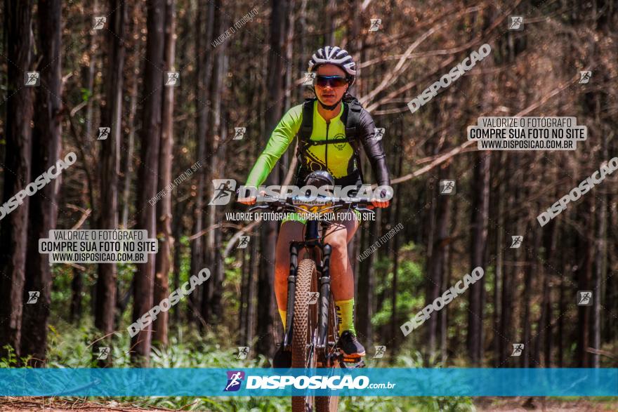 3° Desafio 100km de Terra