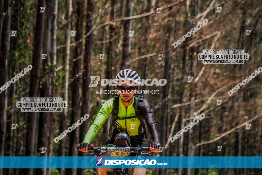 3° Desafio 100km de Terra