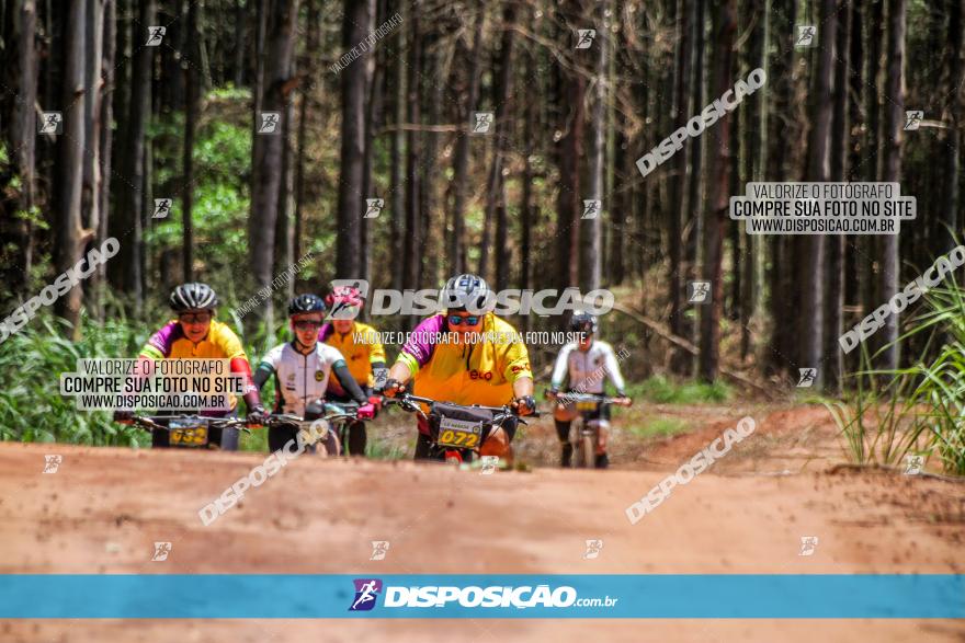 3° Desafio 100km de Terra