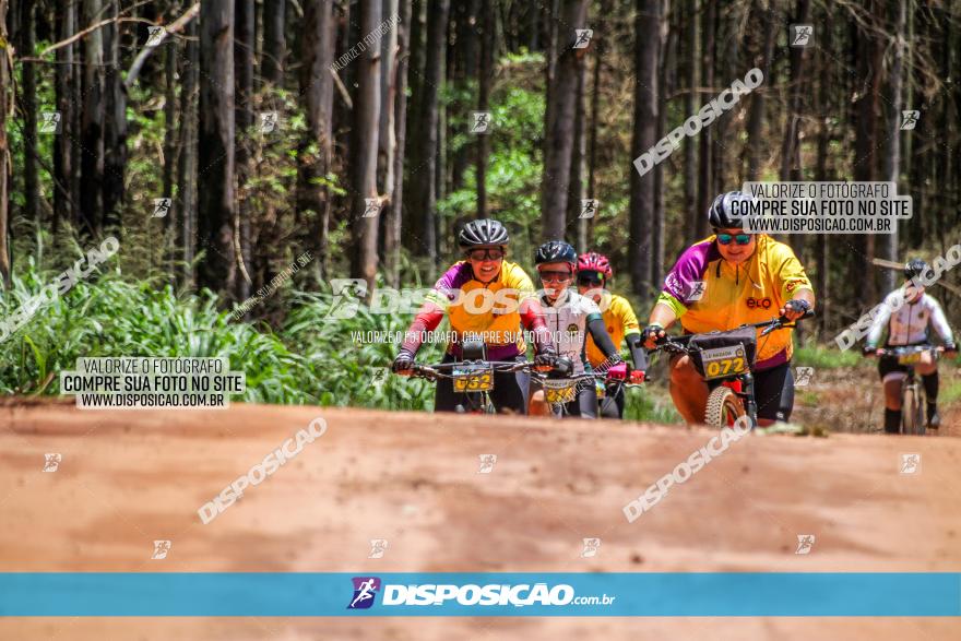 3° Desafio 100km de Terra