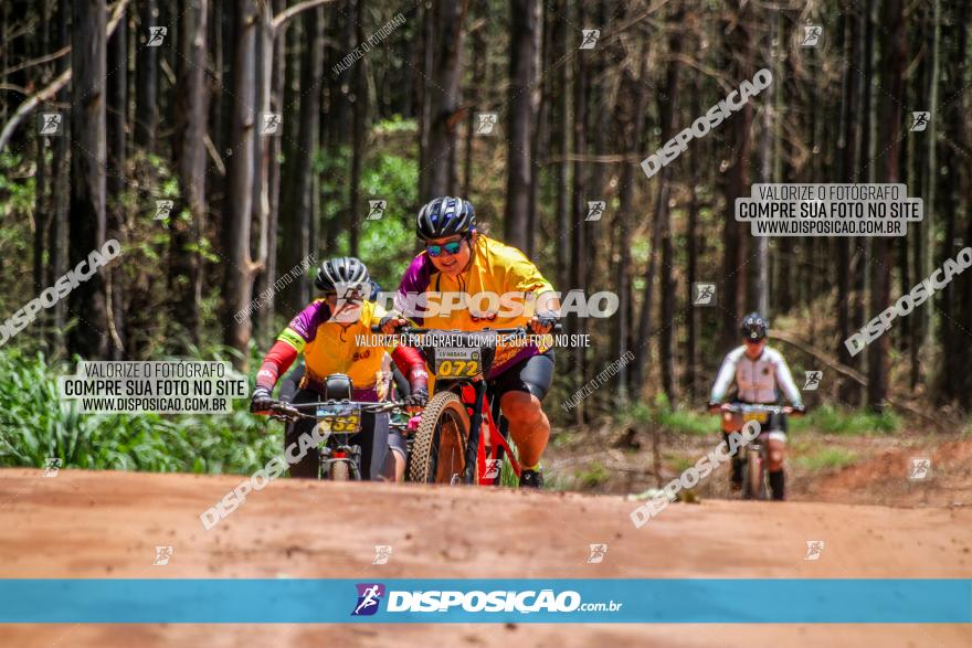 3° Desafio 100km de Terra