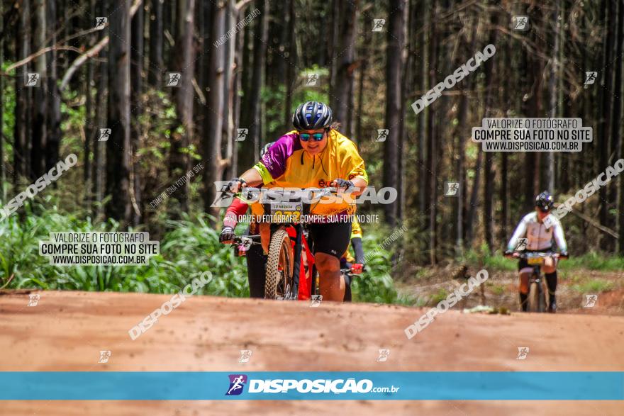 3° Desafio 100km de Terra