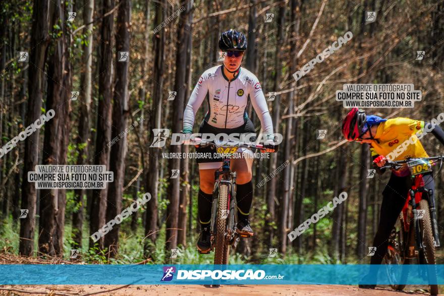 3° Desafio 100km de Terra