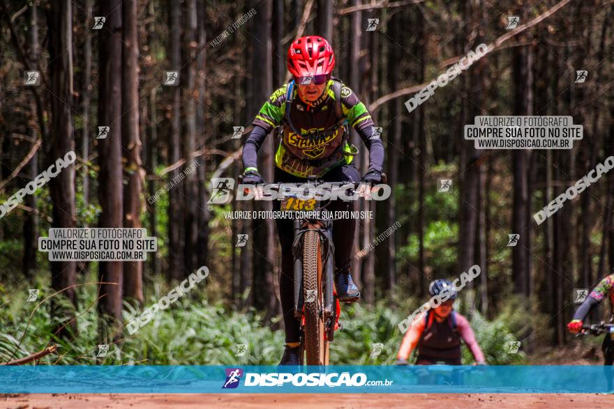 3° Desafio 100km de Terra