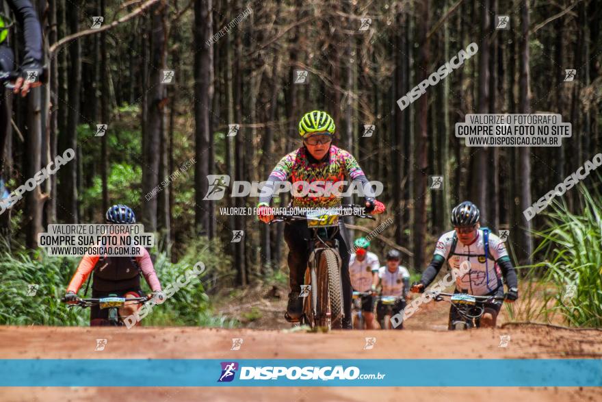 3° Desafio 100km de Terra