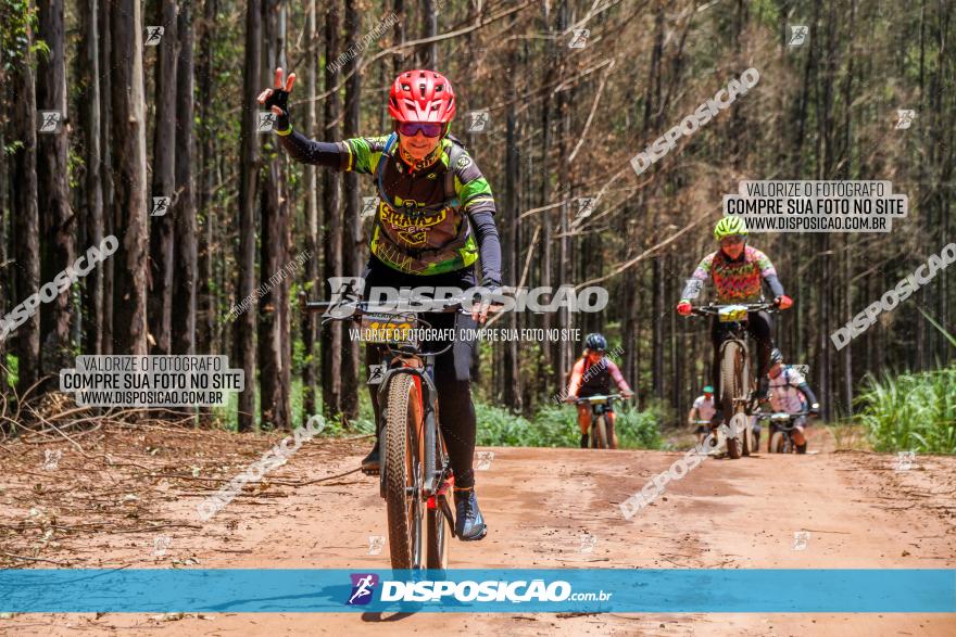 3° Desafio 100km de Terra