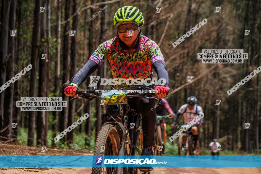 3° Desafio 100km de Terra