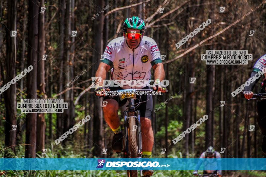 3° Desafio 100km de Terra