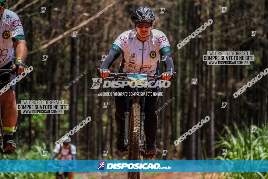 3° Desafio 100km de Terra