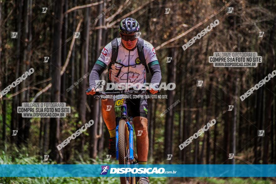 3° Desafio 100km de Terra