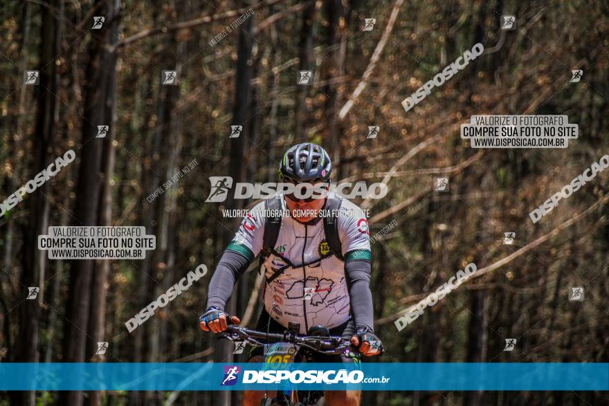 3° Desafio 100km de Terra