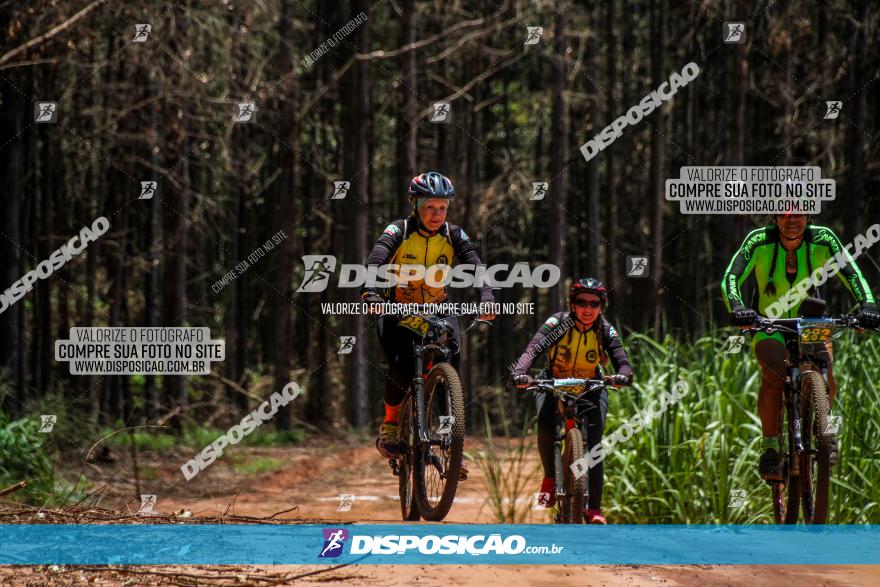 3° Desafio 100km de Terra