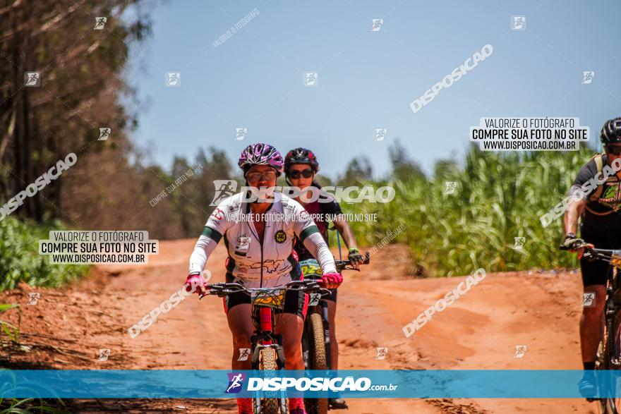 3° Desafio 100km de Terra