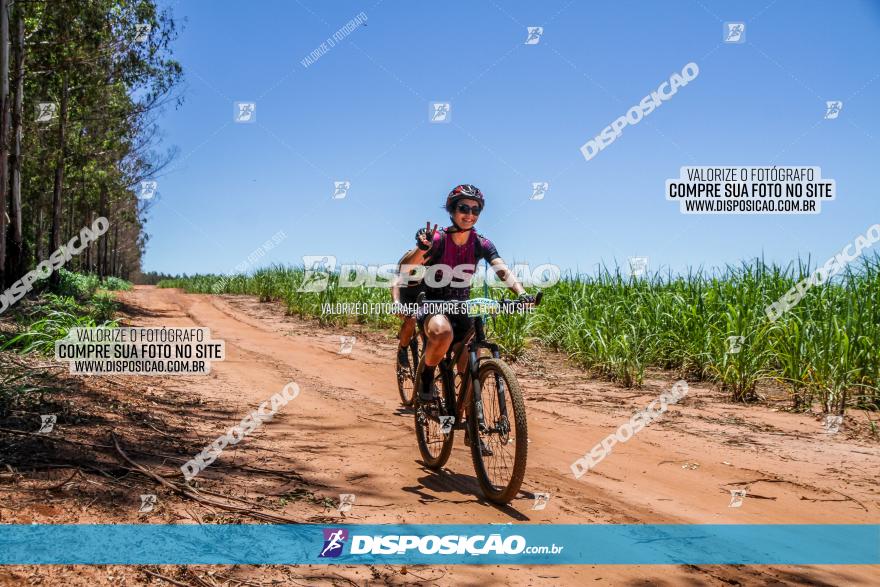 3° Desafio 100km de Terra