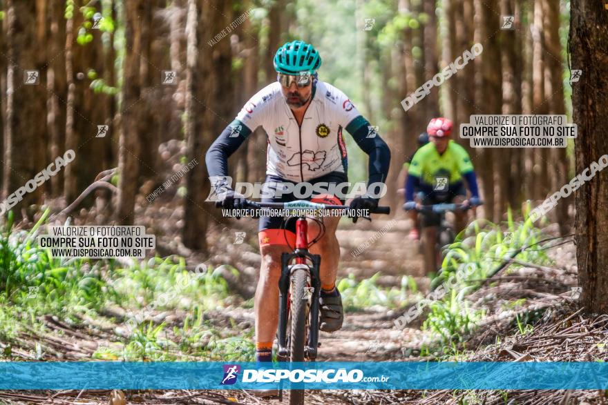 3° Desafio 100km de Terra