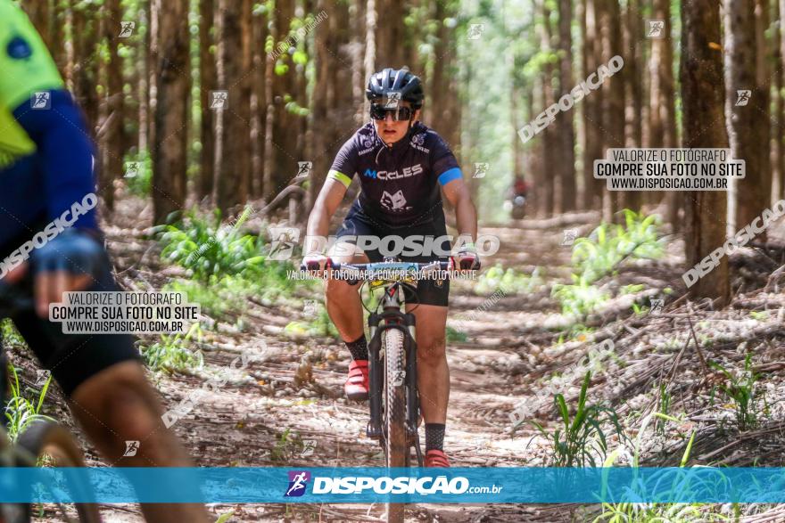 3° Desafio 100km de Terra