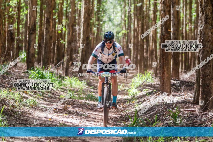 3° Desafio 100km de Terra