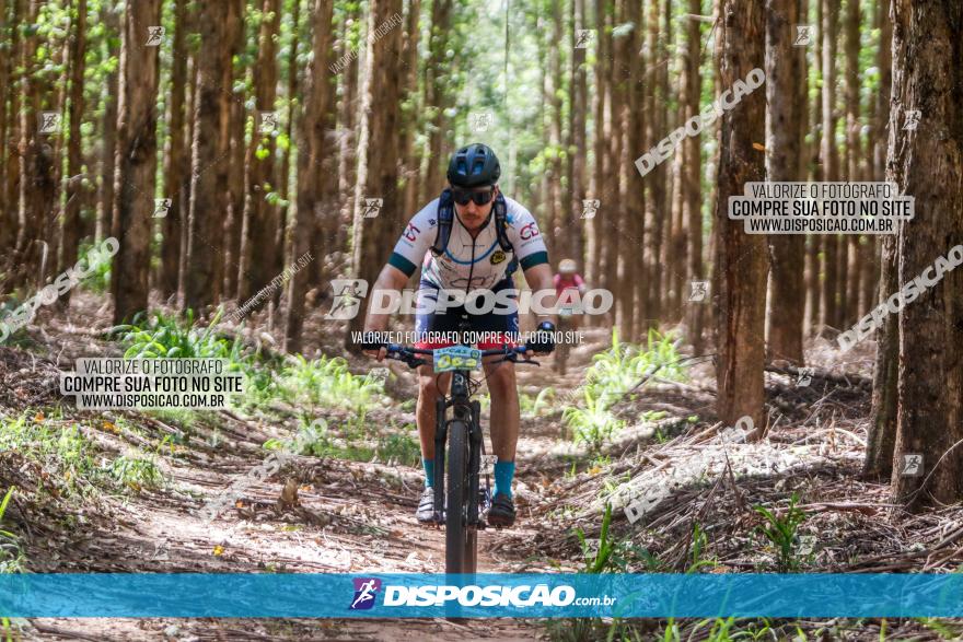 3° Desafio 100km de Terra