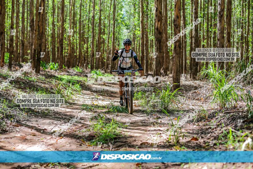 3° Desafio 100km de Terra