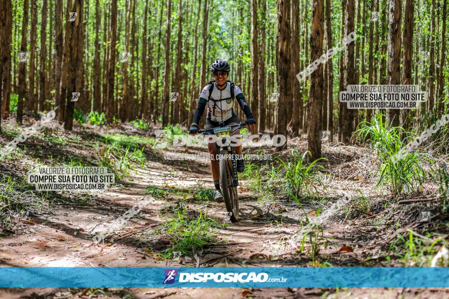 3° Desafio 100km de Terra