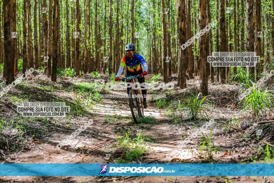 3° Desafio 100km de Terra