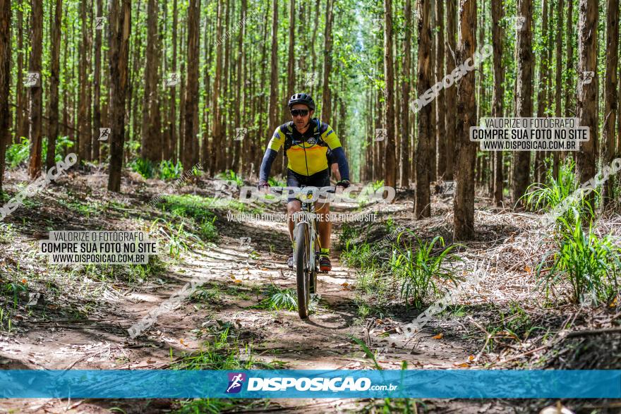 3° Desafio 100km de Terra