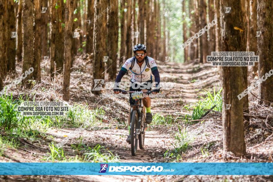 3° Desafio 100km de Terra