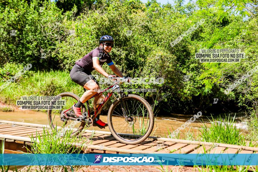 3° Desafio 100km de Terra