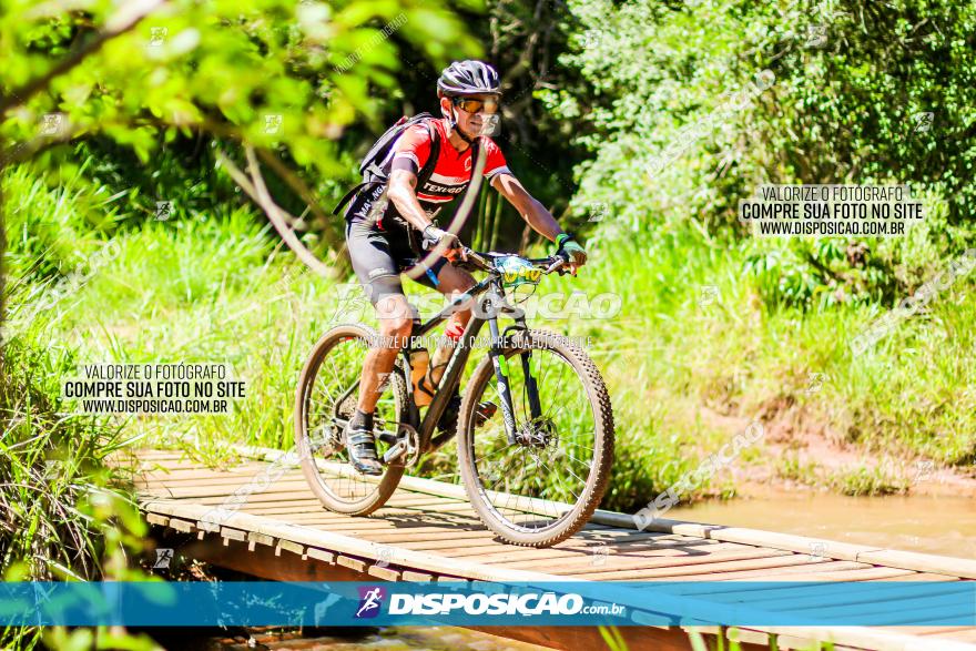 3° Desafio 100km de Terra