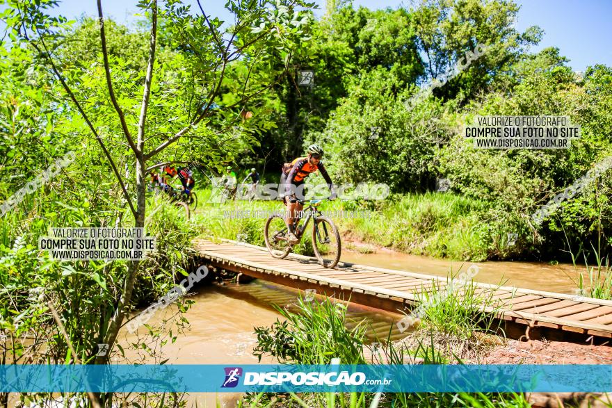 3° Desafio 100km de Terra