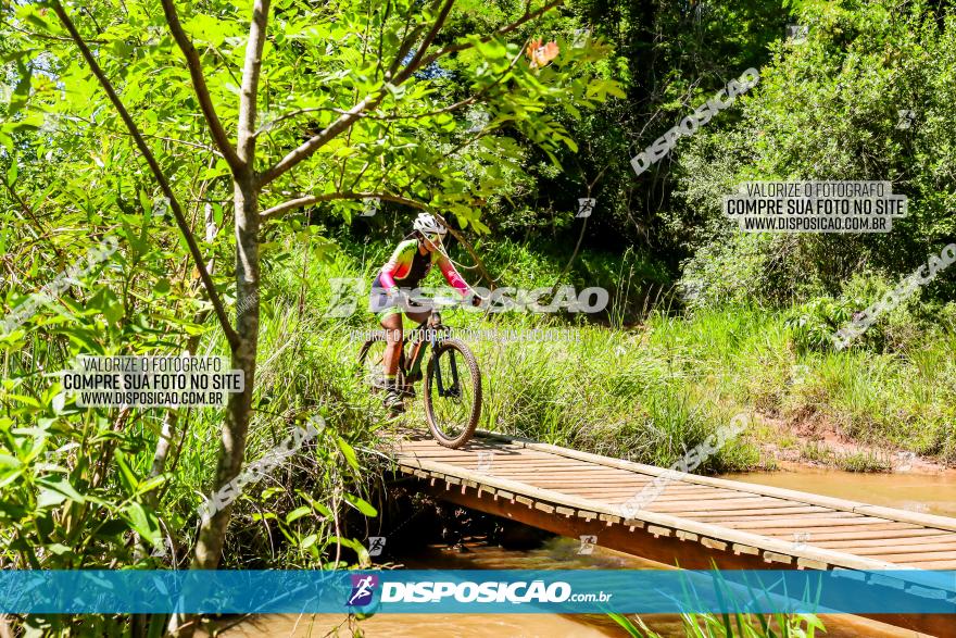 3° Desafio 100km de Terra