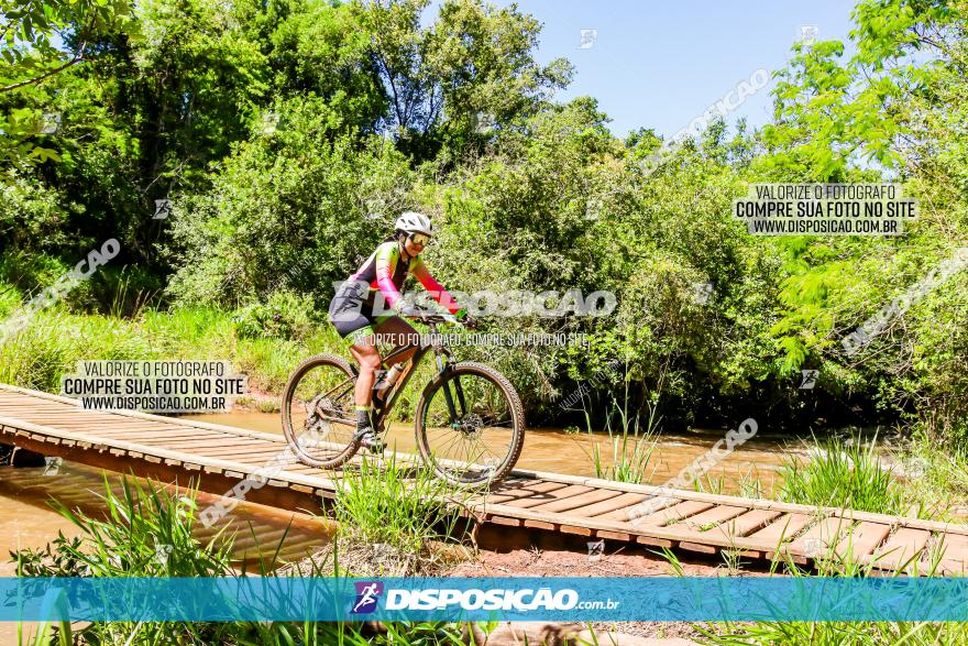 3° Desafio 100km de Terra