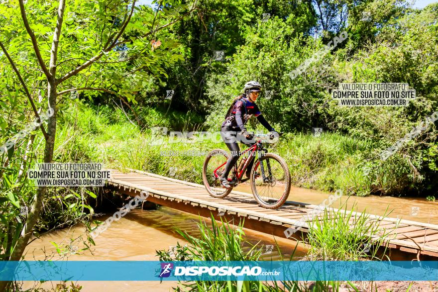 3° Desafio 100km de Terra