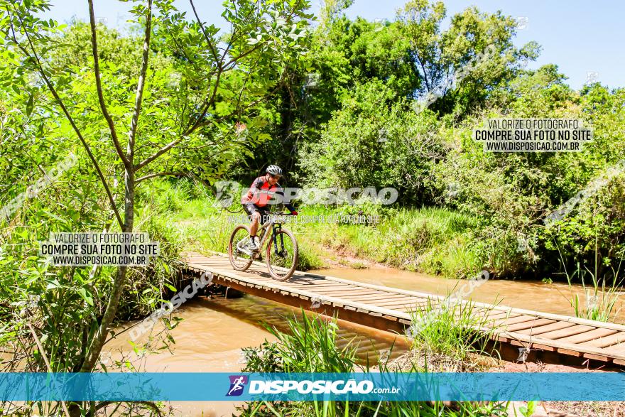 3° Desafio 100km de Terra