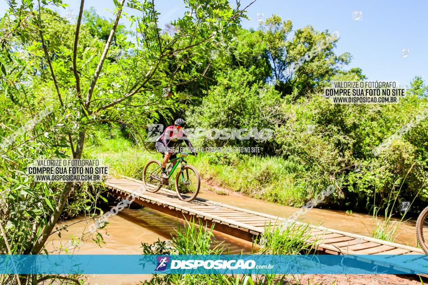 3° Desafio 100km de Terra