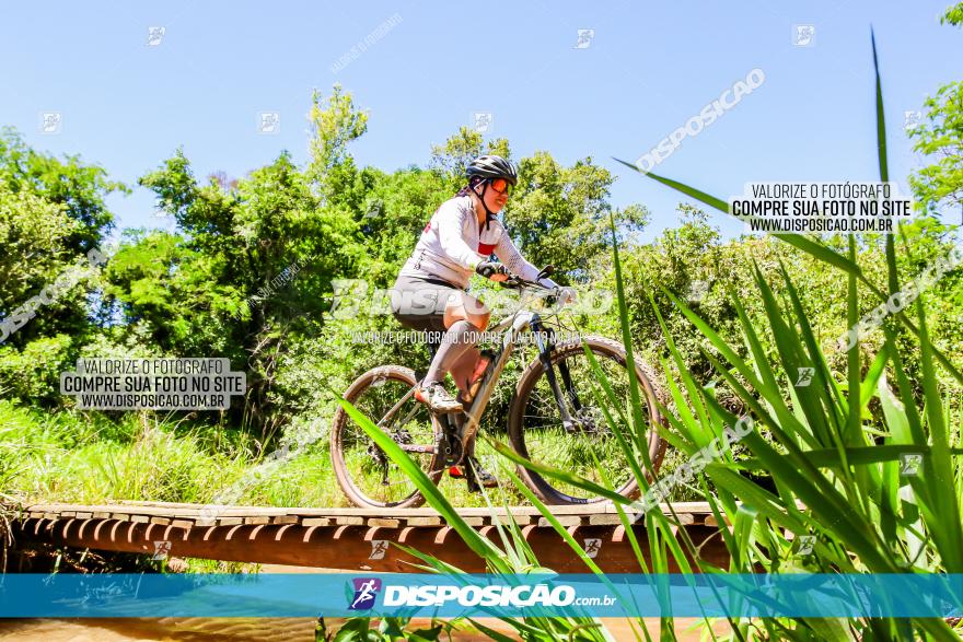 3° Desafio 100km de Terra