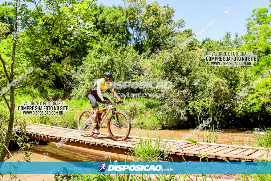 3° Desafio 100km de Terra