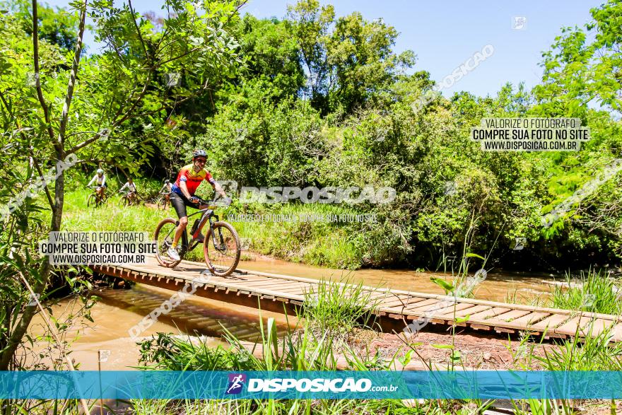 3° Desafio 100km de Terra