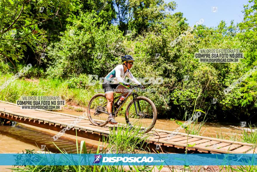 3° Desafio 100km de Terra