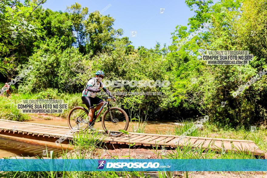 3° Desafio 100km de Terra