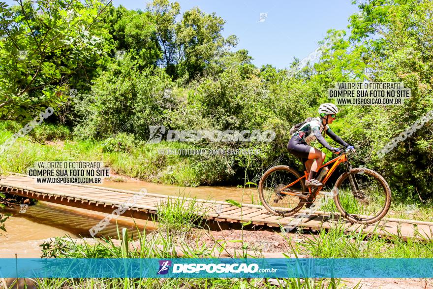 3° Desafio 100km de Terra