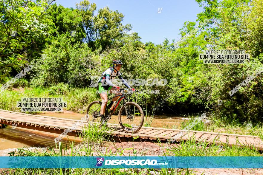 3° Desafio 100km de Terra