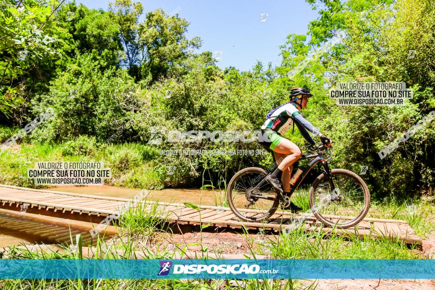 3° Desafio 100km de Terra