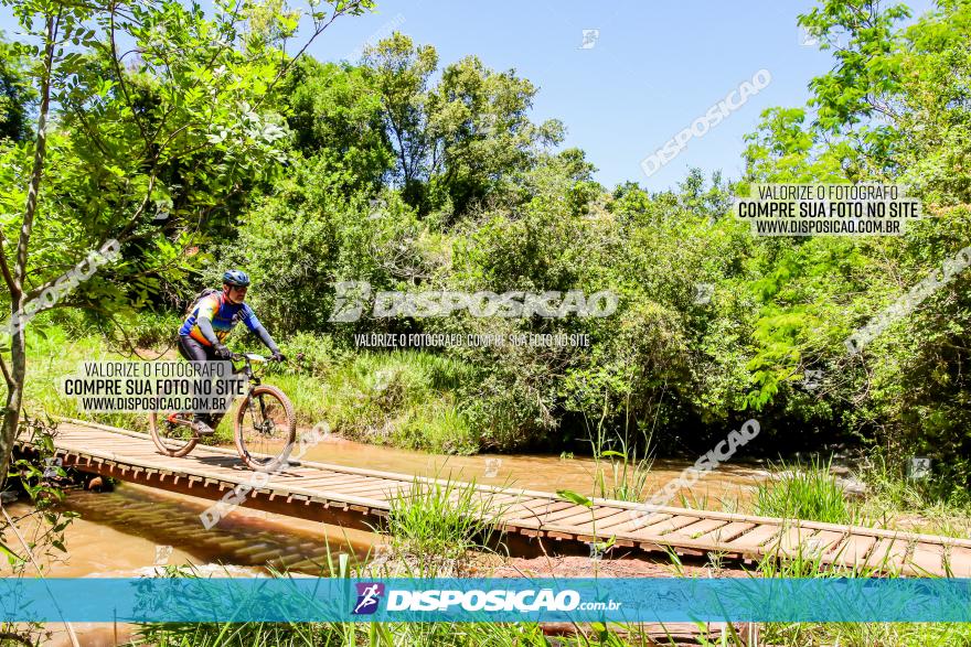 3° Desafio 100km de Terra