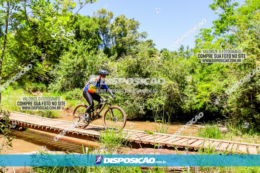 3° Desafio 100km de Terra