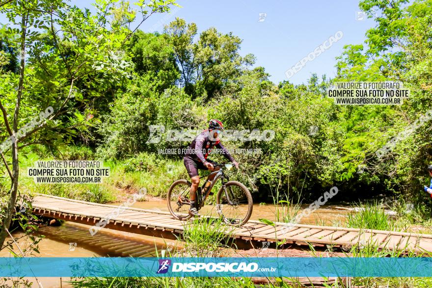 3° Desafio 100km de Terra