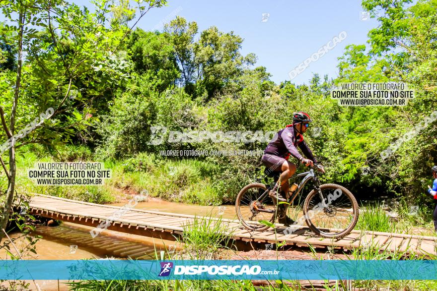 3° Desafio 100km de Terra