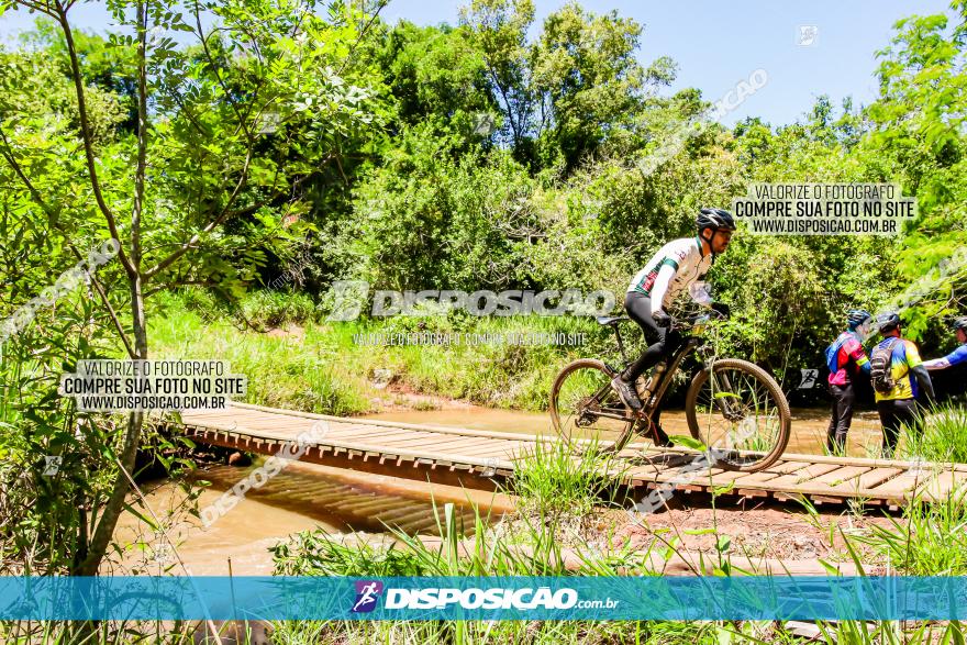 3° Desafio 100km de Terra