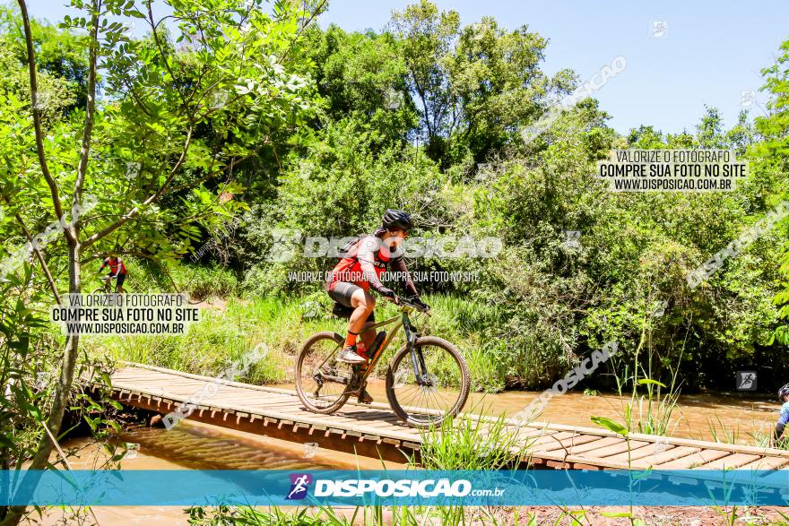 3° Desafio 100km de Terra