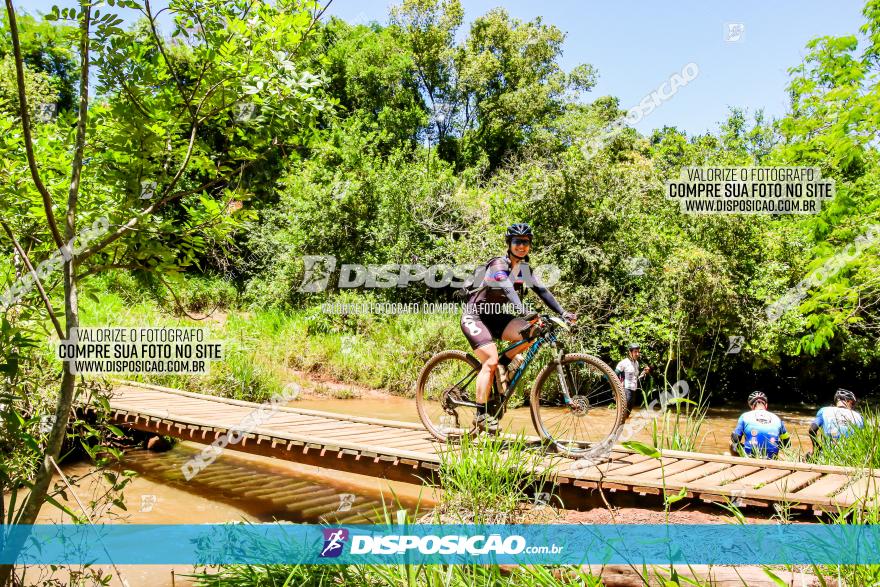 3° Desafio 100km de Terra